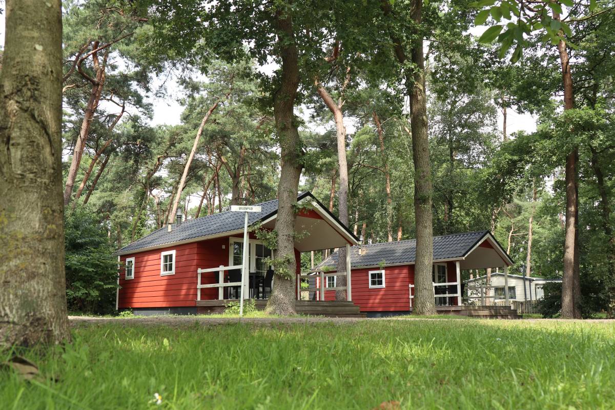 Nieuwe plaatsen! Nog 2 beschikbaar