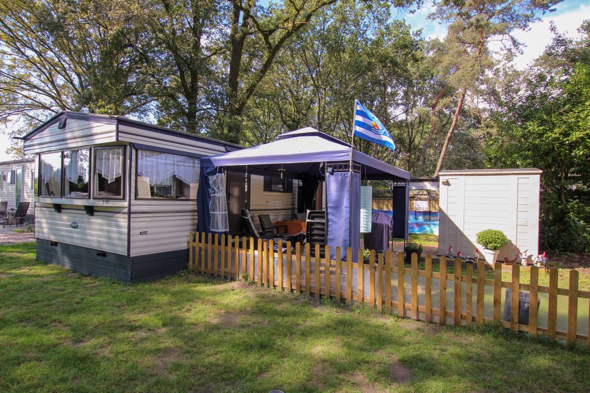  S 167 Ascot super  VERKOCHT
